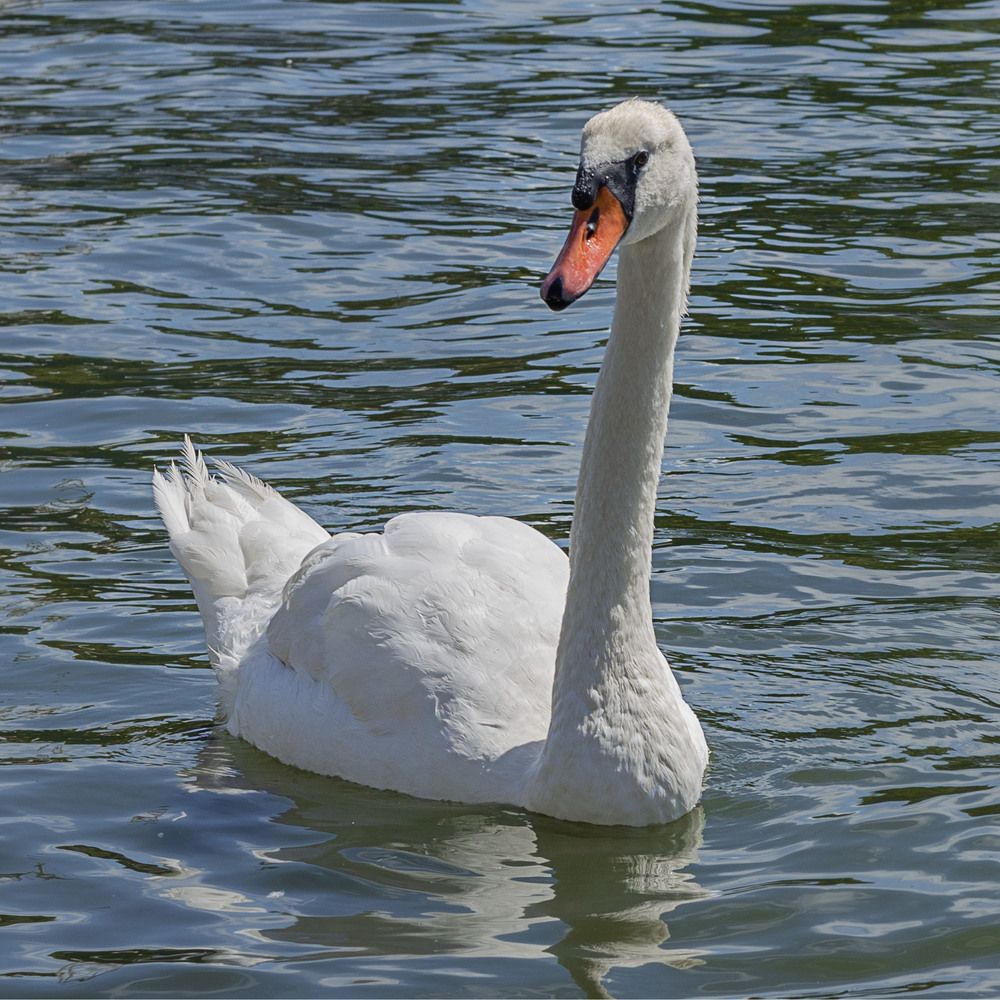 Photograph by Zhdanova Maria