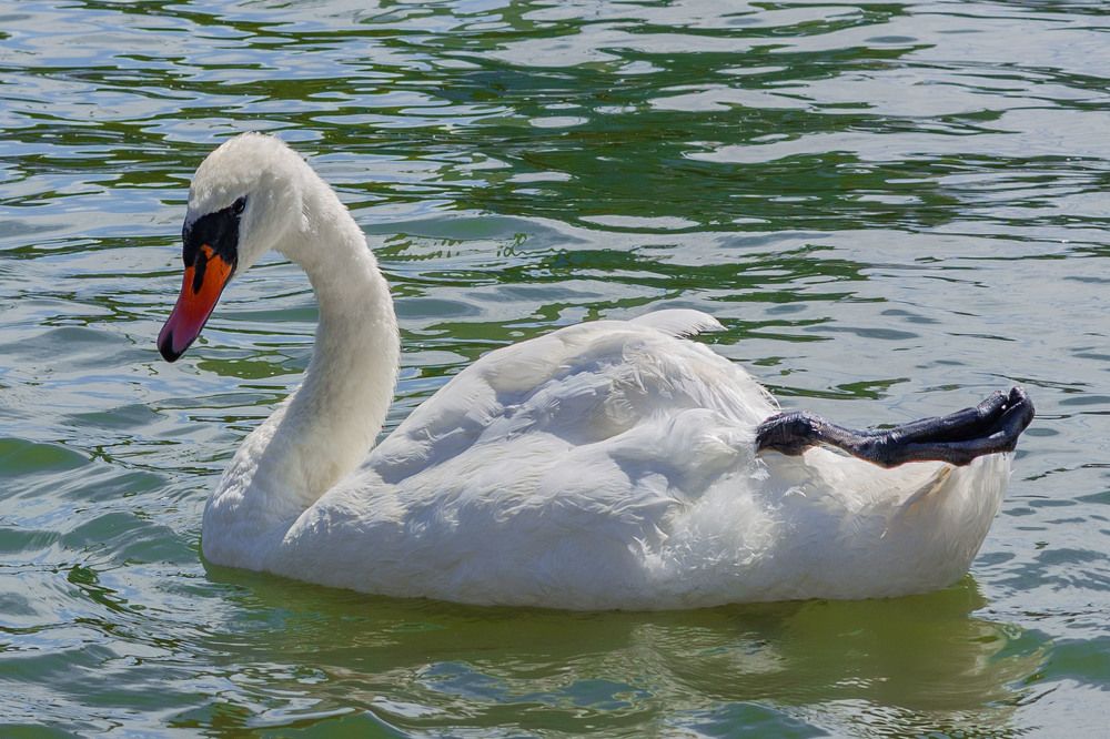 Photograph by Zhdanova Maria