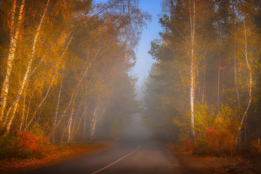 Дорога в осень