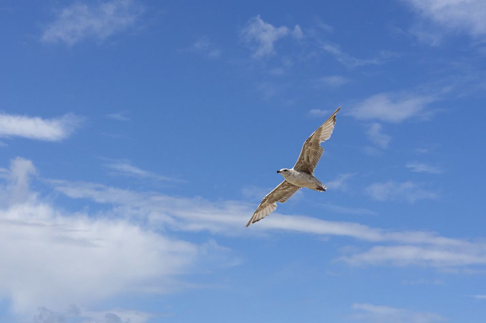 Photograph by Zhdanova Maria