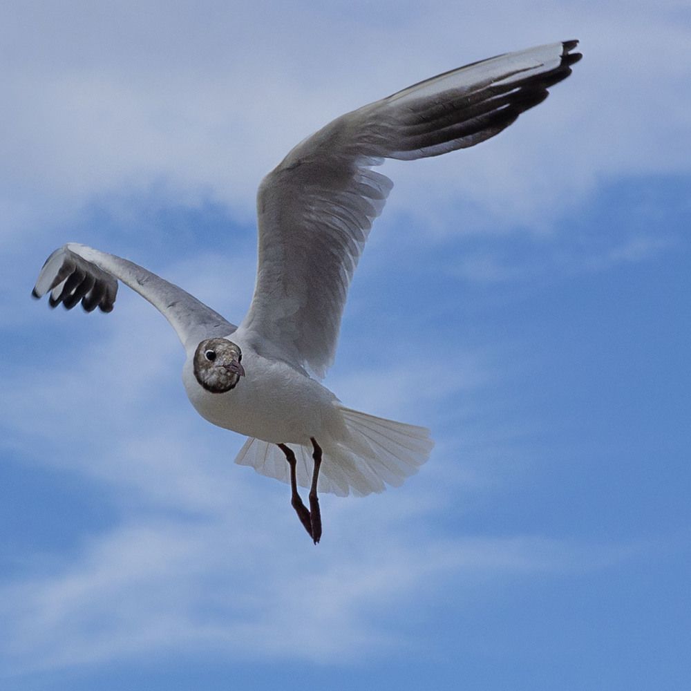 Photograph by Zhdanova Maria