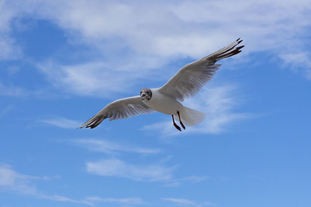 Photograph by Zhdanova Maria