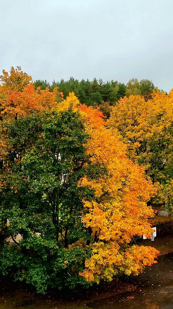 Photograph by Dmitrij Zykunov