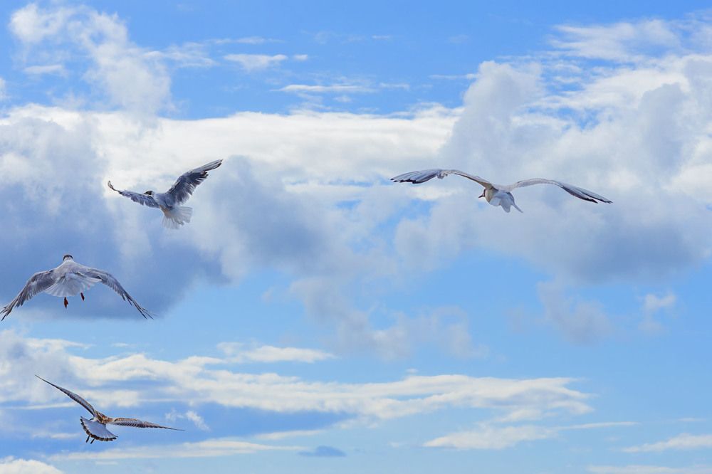 Photograph by Zhdanova Maria