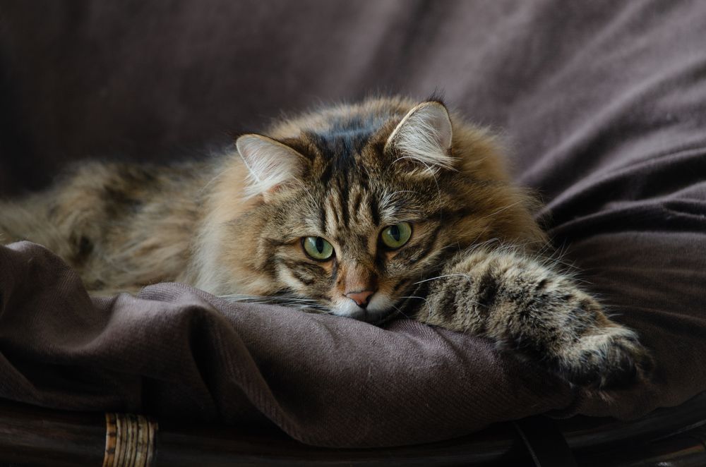 Photograph by Алексей Александрович