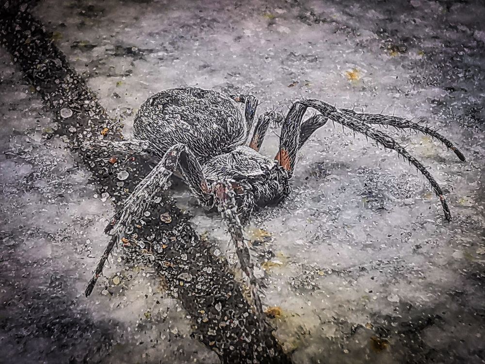 Photograph by Сергей Метлов