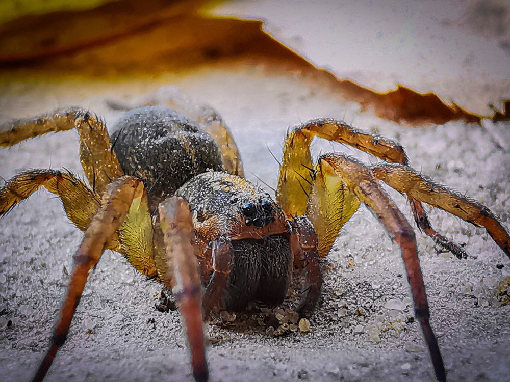 Photograph by Сергей Метлов