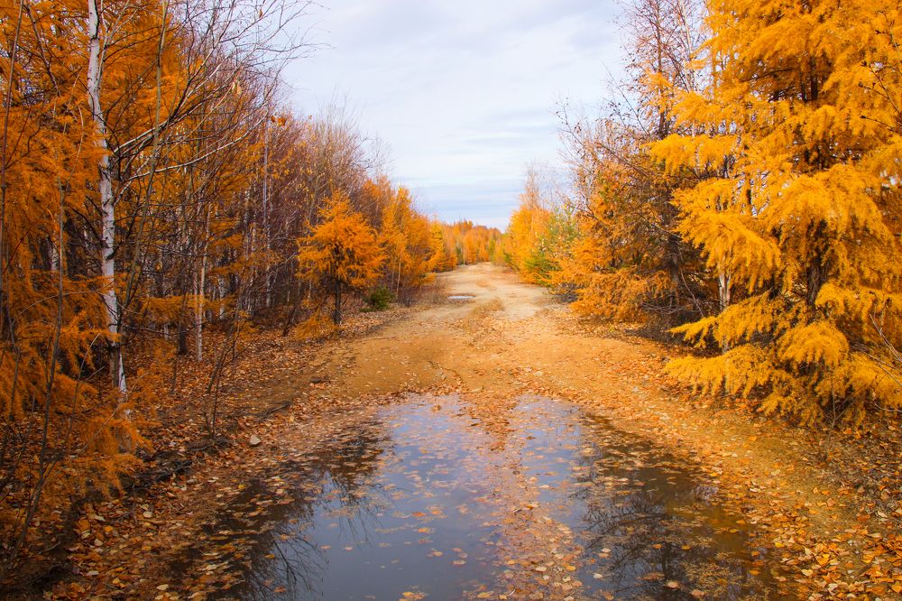 Photograph by Михаил Мархинин