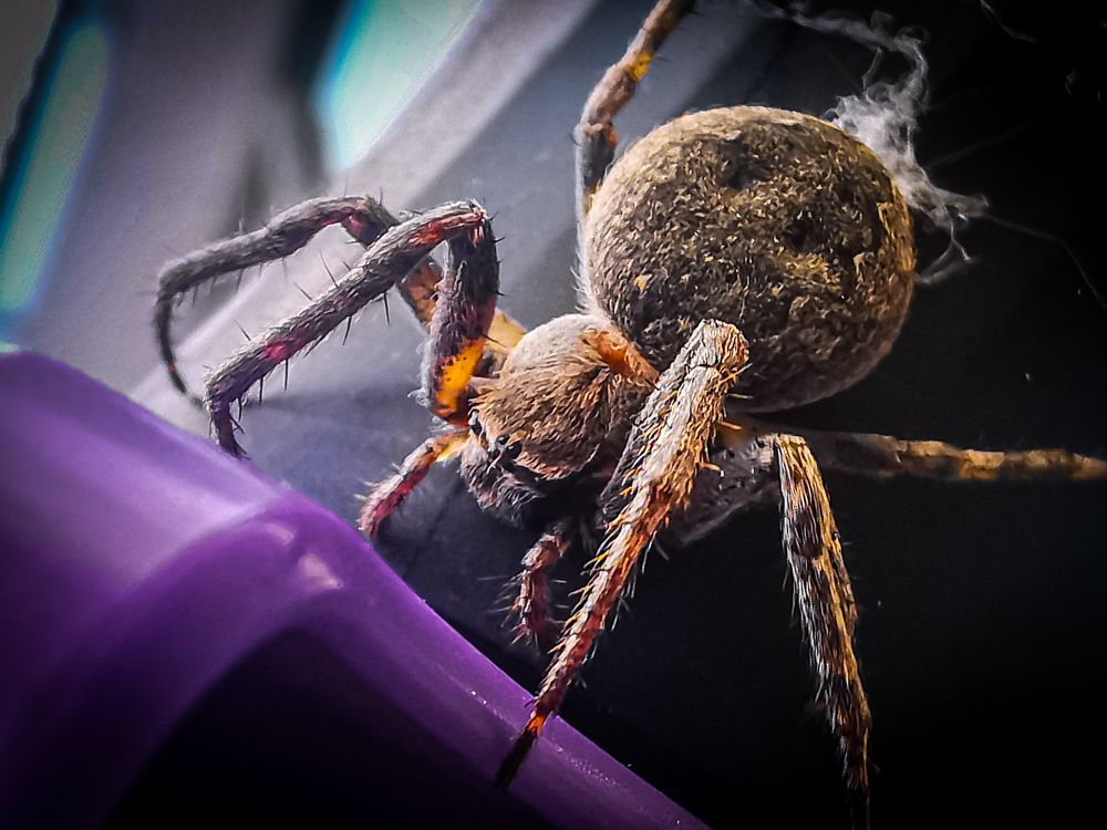 Photograph by Сергей Метлов