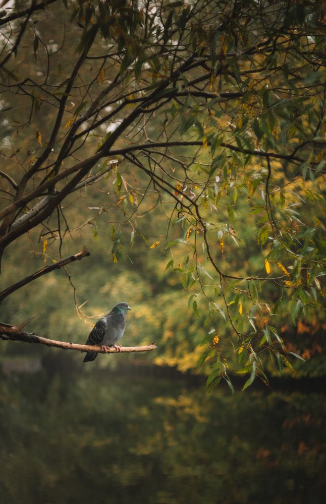 Photograph by Виктория Фирсова
