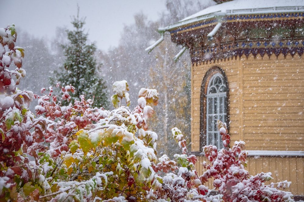 Photograph by Антон Бабичев