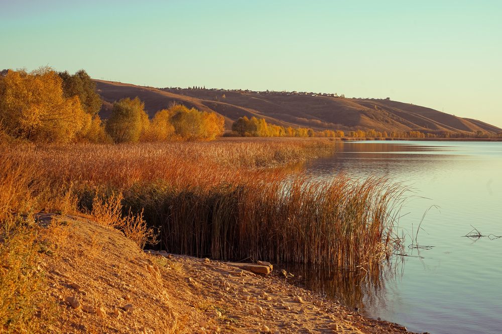 Осень на Свияге