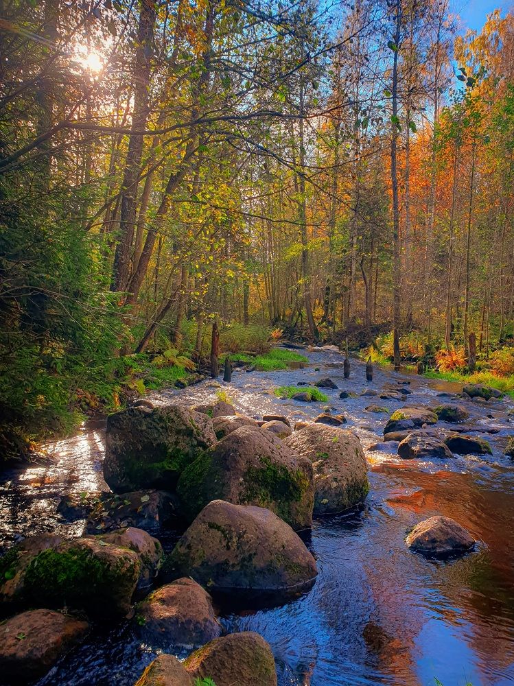 Фотография автора Inna Evseeva