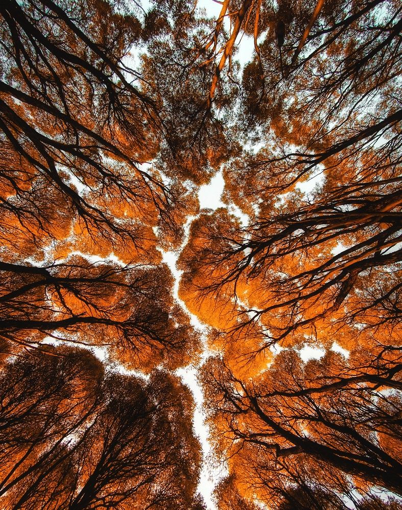 Photograph by Сергей Никифоров