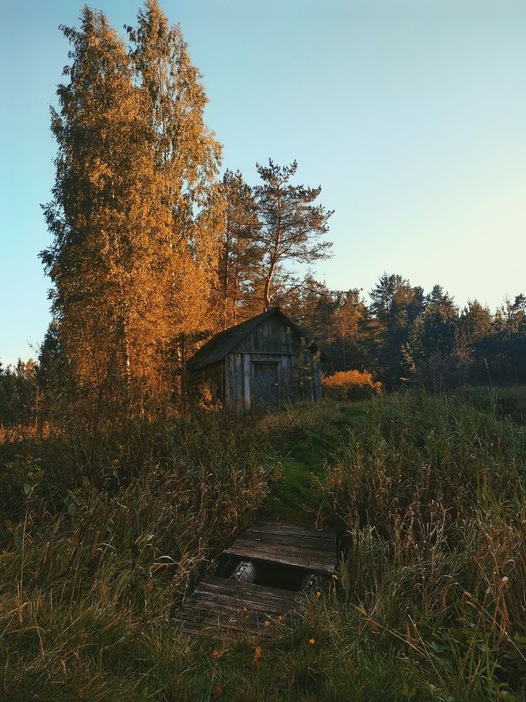 Photograph by Сергей Никифоров