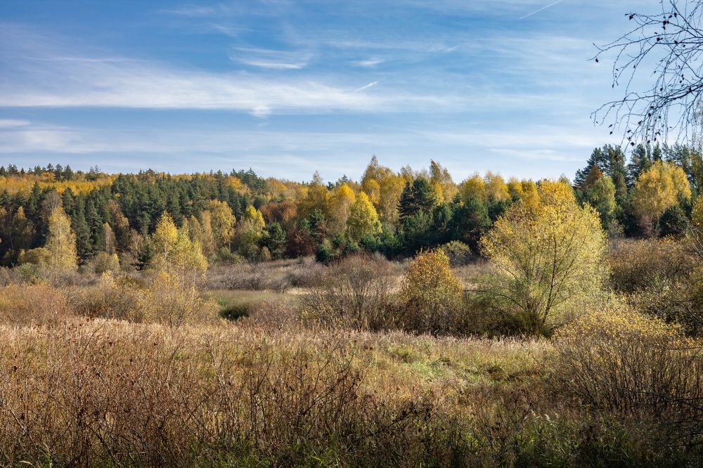 Photograph by Дарья Улюсова