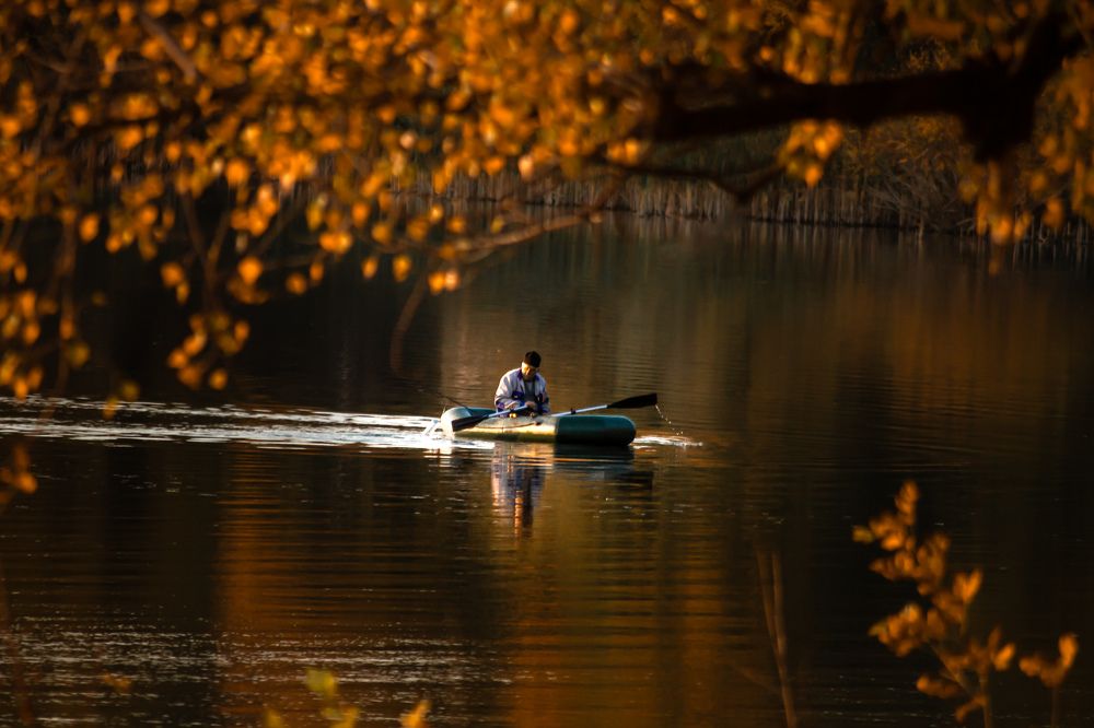 Photograph by Алина Орлова