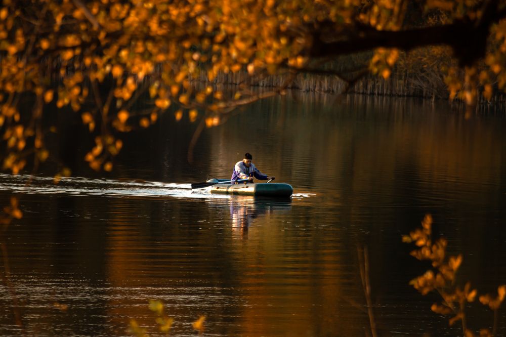 Photograph by Алина Орлова