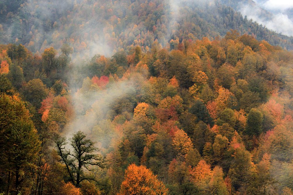 Photograph by hasan sorena jouri