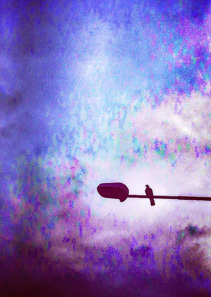 Photograph by Anila Ismailaj