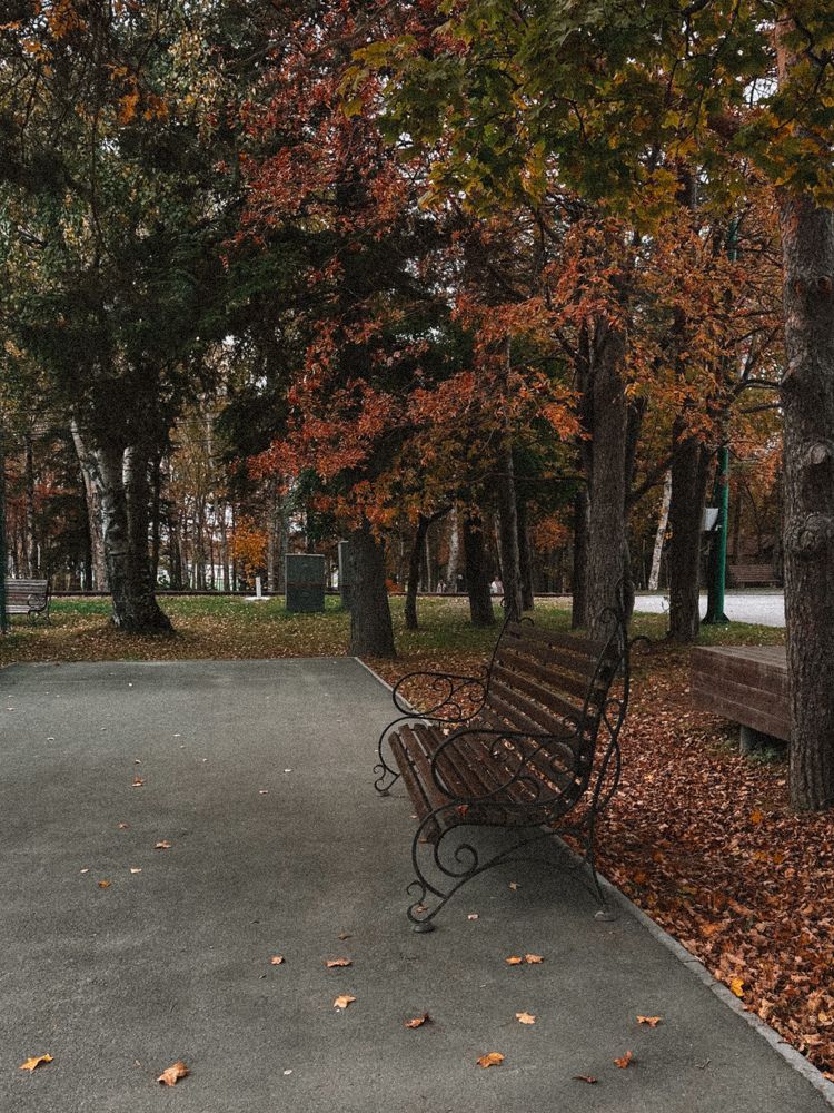 Photograph by Дина Чехова