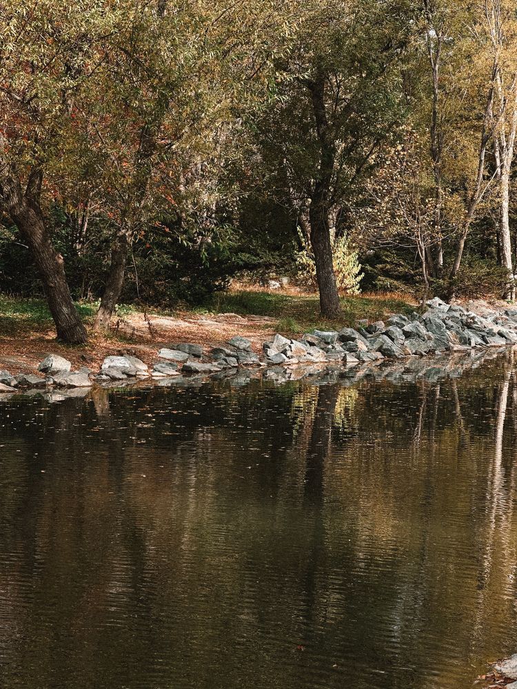 Photograph by Дина Чехова