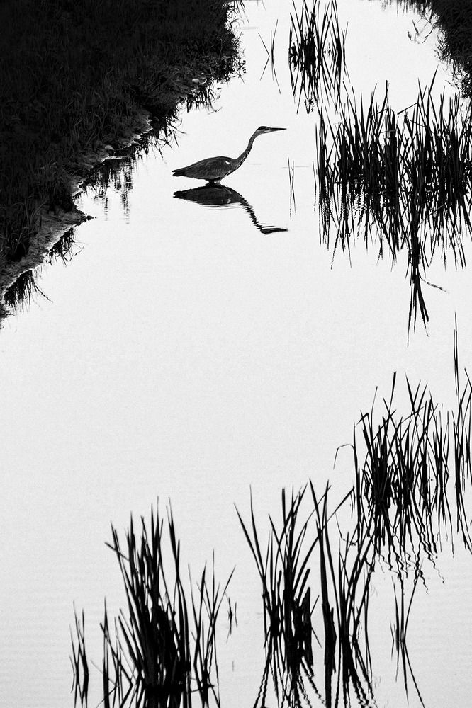 Photograph by Rudi Uran