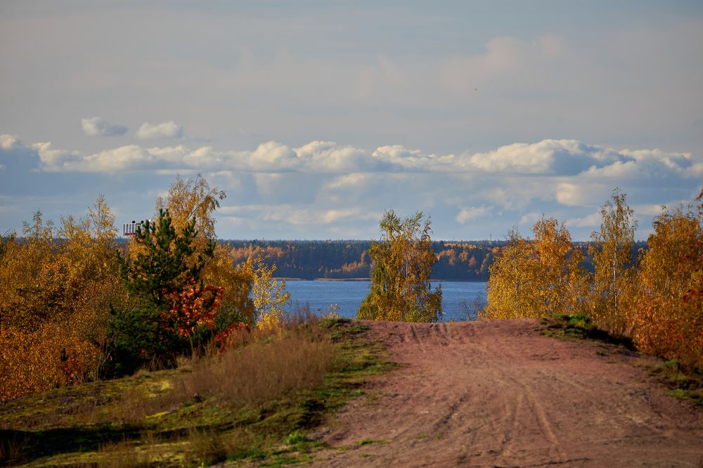 Photograph by Анна Голубова