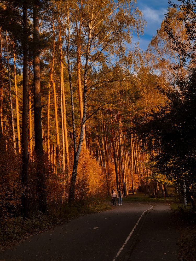 Photograph by Алина