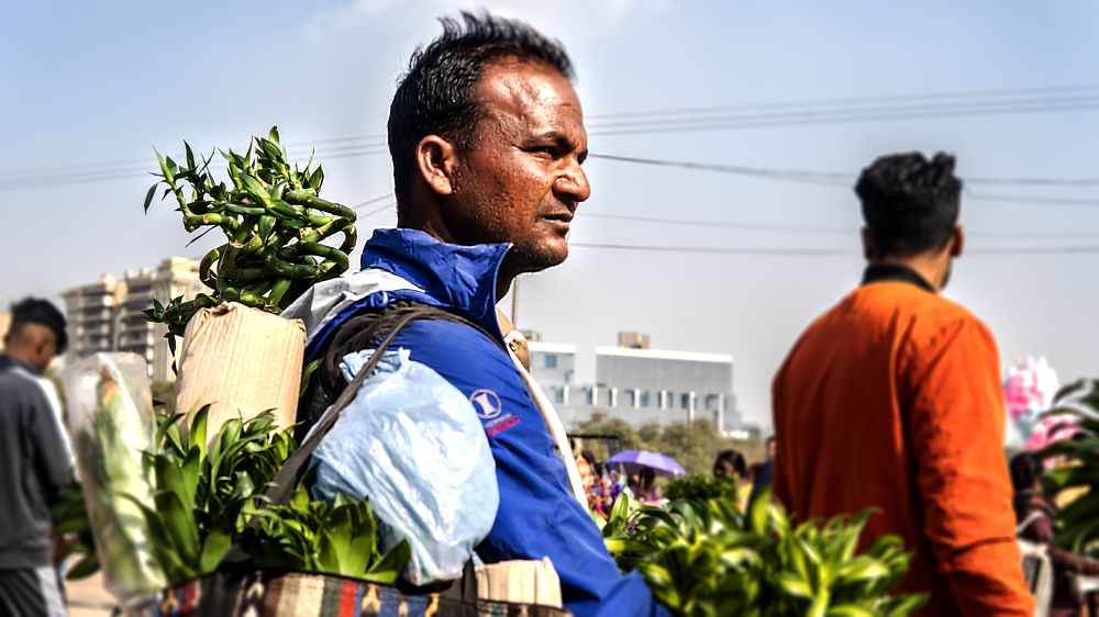 Фотография автора savitri Rawat