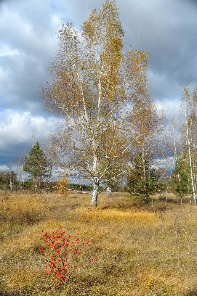 Photograph by Владимир Щеголев