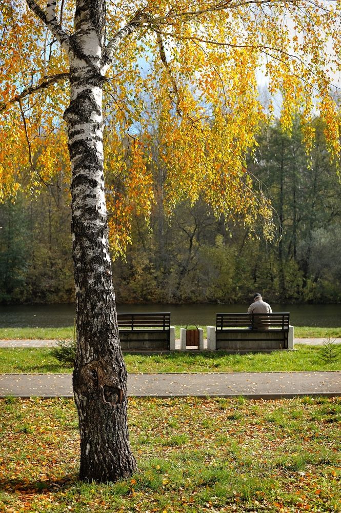 Photograph by Владимир Щеголев