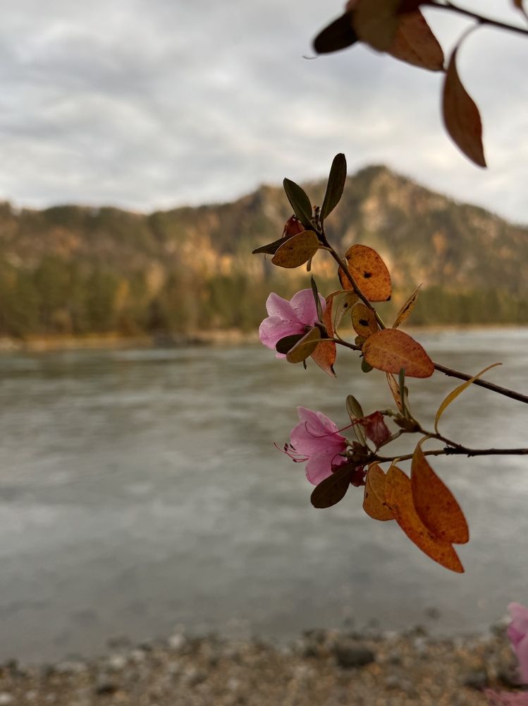 Photograph by Ольга Виноградова