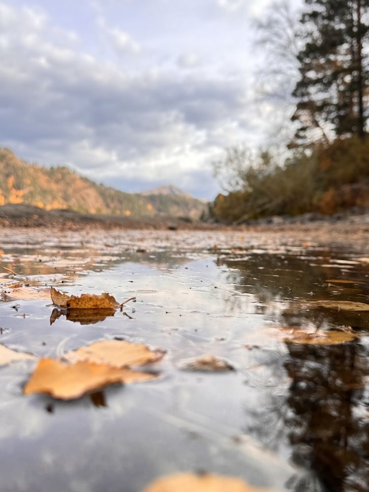 Photograph by Ольга Виноградова