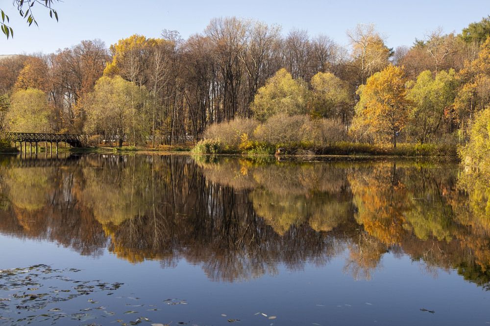 Photograph by Елена Маракулина