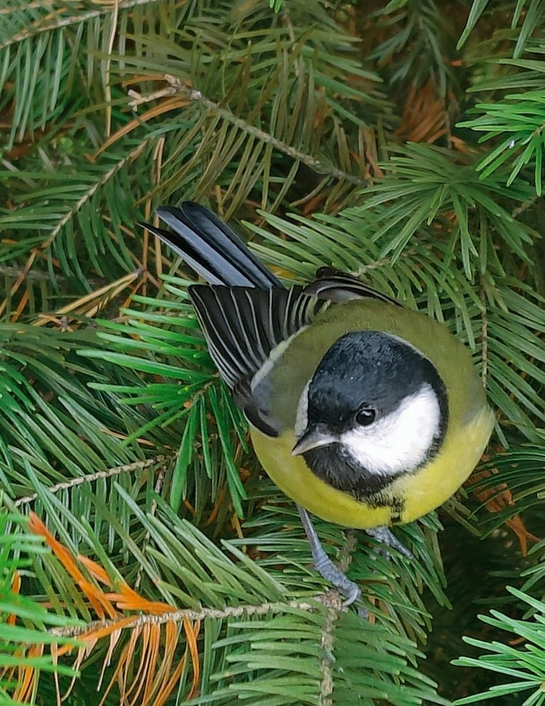 Photograph by Татьяна Гулакова