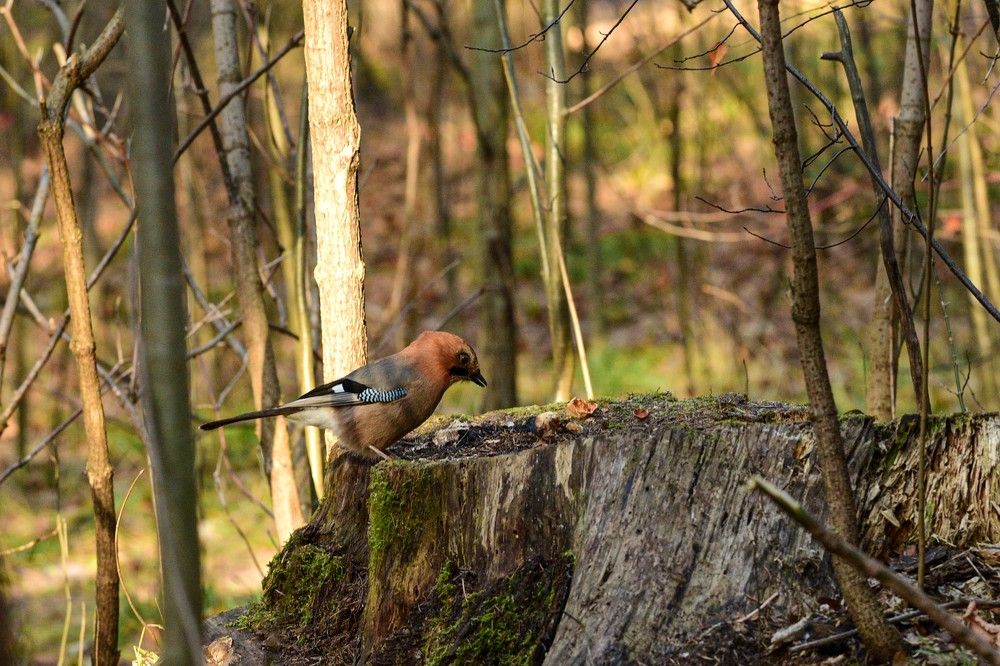 Photograph by Kseniya Shilina