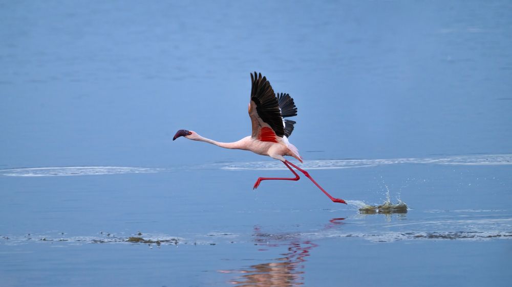 Photograph by Николай Мозгунов