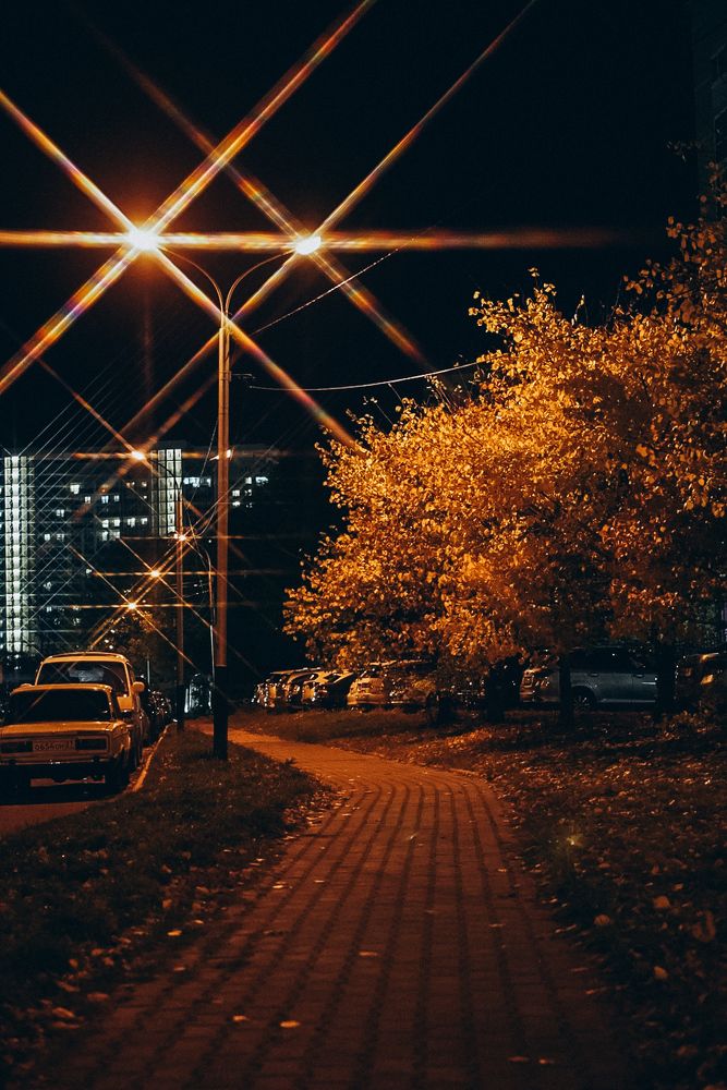 Photograph by Анна Колесниченко