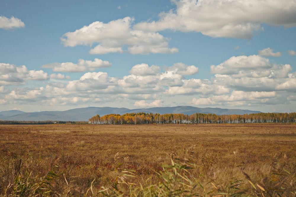 Photograph by Анна Колесниченко