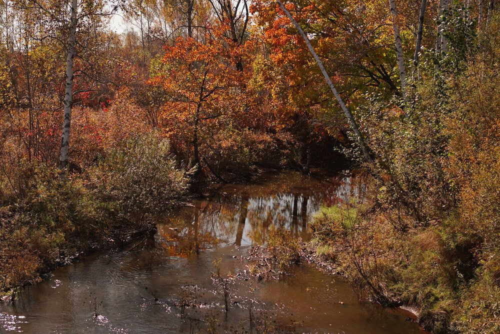 Photograph by Анна Колесниченко