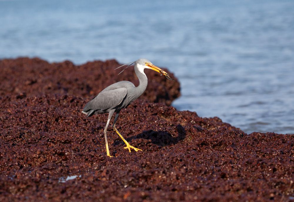 Фотография автора Andrey Shishkalov