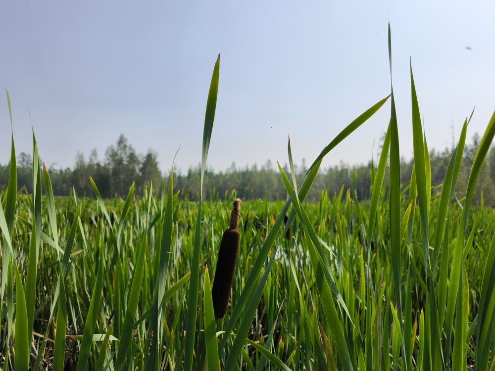 Photograph by Эдуард Герасимов