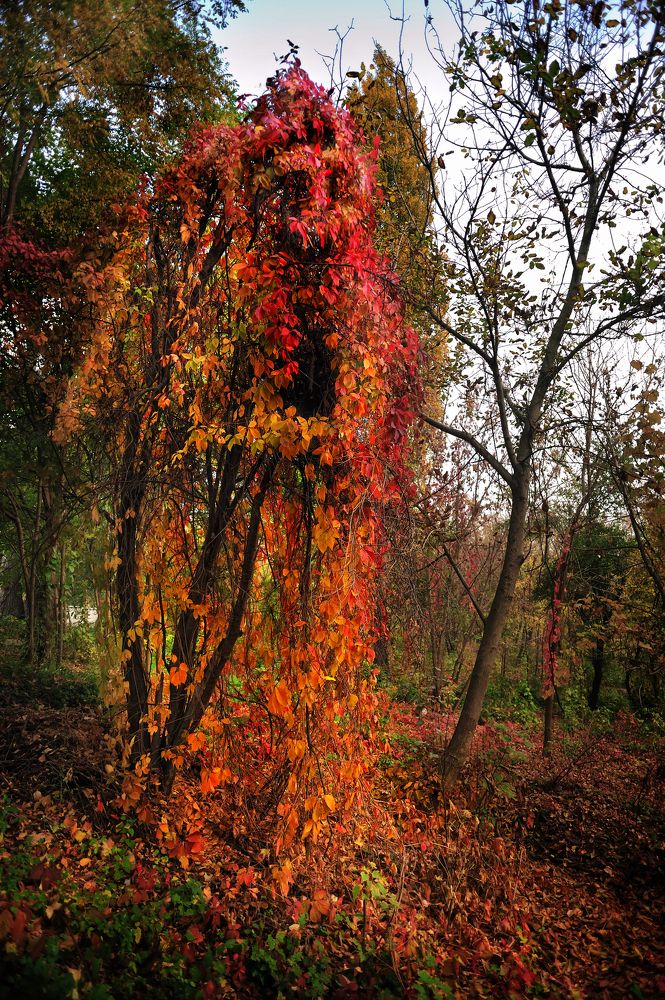 Фотография автора Сергей Иваненко