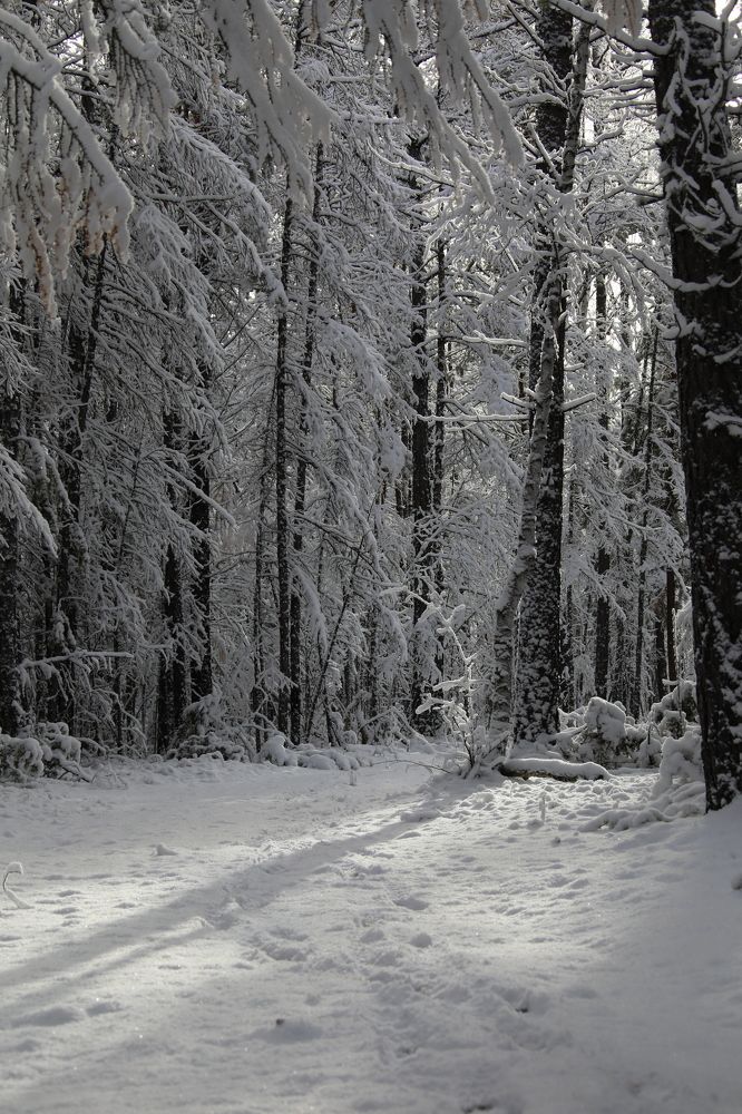 Photograph by Эдуард Герасимов