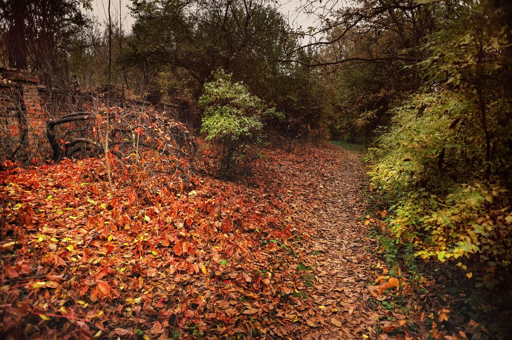 Фотография автора Сергей Иваненко