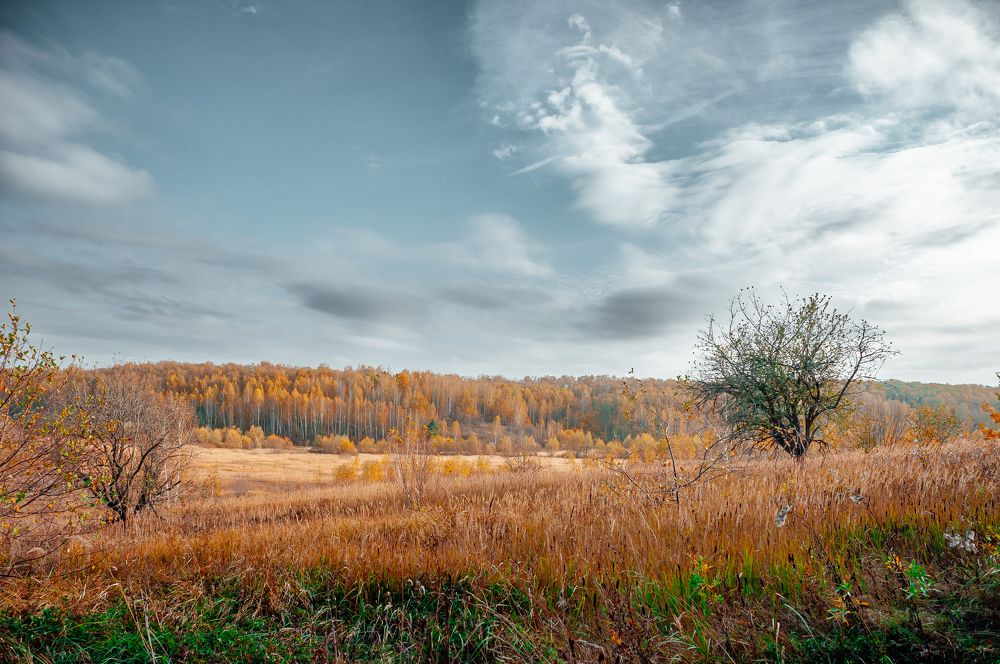 Photograph by Алексей