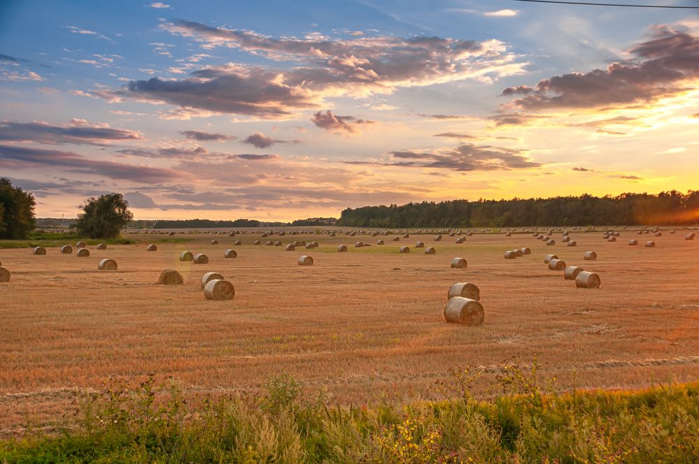 Photograph by Алексей