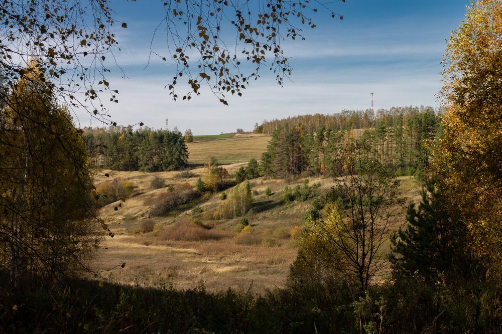 Photograph by Дарья Улюсова