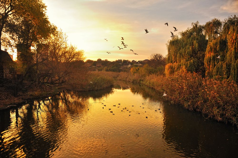 Фотография автора Сергей Иваненко